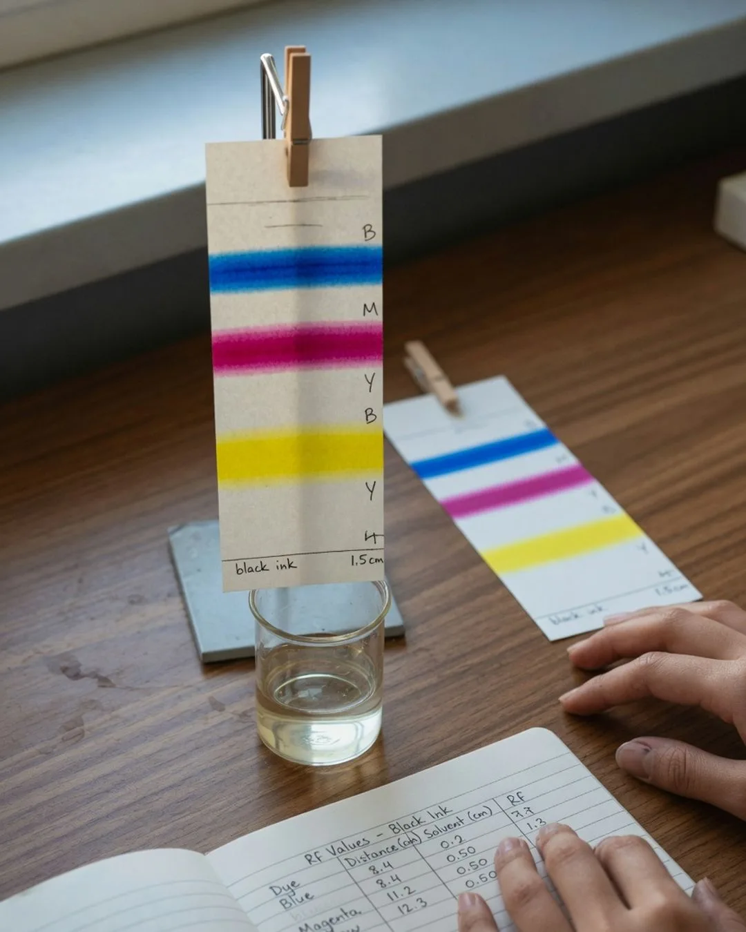 A developed paper-chromatography strip with a black ink sample separated into distinct blue, magenta, and yellow dye bands over a solvent beaker, beside a notebook with an Rf-value table.